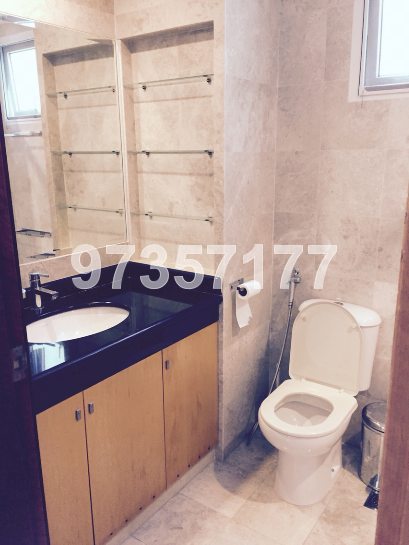 Thomson Vale (D11), Apartment #166884552